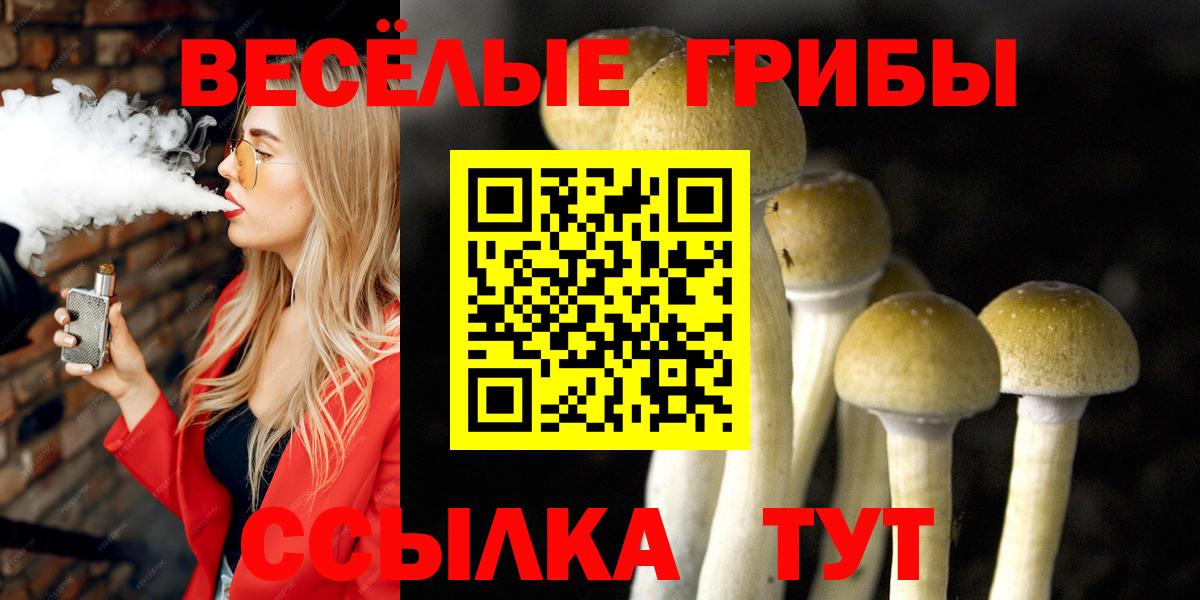 Галлюциногенные грибы Psilocybine cubensis  Вход с VPN  Новочеркасск 